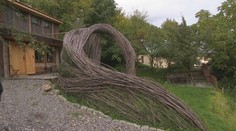 Dizajnové vŕbové prútie je v zahraniční bežné, no u nás raritou. Pozrite si, ako splýva s prírodou