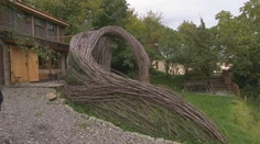 Dizajnové vŕbové prútie je v zahraniční bežné, no u nás raritou. Pozrite si, ako splýva s prírodou