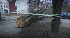 Poistných udalostí spôsobených počasím pribúda. Nové poistky kryjú aj škody, na ktoré sa predtým nemyslelo