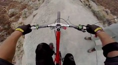 Cyklista (†33) v Bratislave zahynul po náraze do stromu