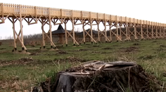 VIDEO: Starosta v Maďarsku z dotácie EÚ postavil chodník v korunách stromov. Za obeť padol celý les