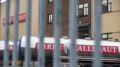 V najväčšej továrni na čokoládu objavili salmonelu. Kontaminované výrobky sa k zákazníkom nedostali