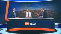 Vyšetrovanie vraždy: Obvinená Alena Zsuzsová mohla byť len sprostredkovateľ