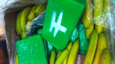 Medzi banánmi v obchodnom reťazci Albert našli vyše pol tony kokaínu