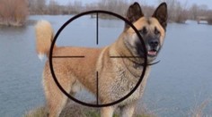 Psa mu zabili priamo pred očami. Po strelcovi už ide polícia