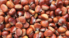 Október nás prekvapí krásnym počasím