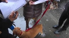 V Neapole vymysleli nevídanú fintu na psíčkarov