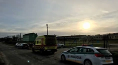Tragická poľovačka pri Leviciach: Muž trafil honca (†62) do ramena, zomrel na mieste