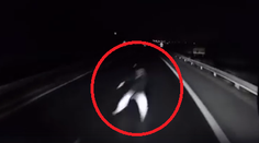 Kamionista nám opísal okamihy hrôzy. Chodca zbadal v poslednej sekunde