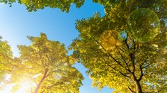 Po upršaných dňoch príde na konci týždňa pozitívna zmena