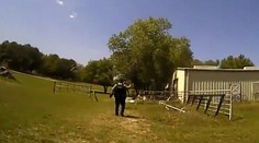 VIDEO: Policajti si mysleli, že zachraňujú človeka. Keď našli zdroj volania, museli sa smiať