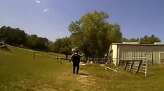 VIDEO: Policajti si mysleli, že zachraňujú človeka. Keď našli zdroj volania, museli sa smiať