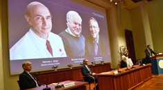 Nobelovu cenu za fyziológiu alebo medicínu získali traja Američania. Odmenu si rozdelia