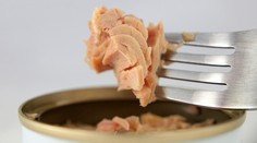 Test tuniakov v konzerve. Ten najdrahší nemusí byť aj najlepší