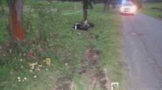 Niekto sa pomstil za smrť motorkára. Vyrúbal desiatky stromov pri ceste