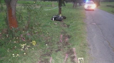 Niekto sa pomstil za smrť motorkára. Vyrúbal desiatky stromov pri ceste