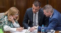 Pre agrokauzu padali hlavy: Matečnej rezort podáva trestné oznámenie pre podvod