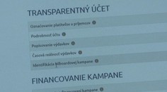 Transparency International hodnotila kampane pred eurovoľbami. Najlepšie skončili PS či KDH, najhoršie Hlas a Smer