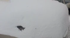 Nechce sa vám odpratať sneh z auta? Na tohto šoféra určite nemáte