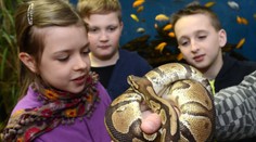 Košická zoo chystá tri novinky, návštevníci sa môžu tešiť aj na novú expozíciu