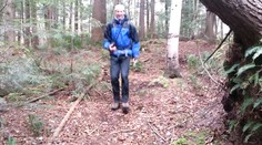 Turisti objavili chodník, ktorý pruží ako trampolína