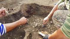 Unikátny nález českých vedcov: Objavili neznámy druh pravekej šelmy, ktorá žila na našom území