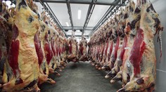 Do Česka doviezli poľské hovädzie mäso so salmonelózou. Má sa nachádzať aj u nás