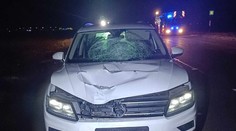 Na Záhorí zrazilo auto mimo obce 19-ročné dievča. Tínedžerka akoby zázrakom prežila