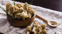 Francúzska delikatesa, ktorá rastie aj u nás v lesoch. Vyskúšajte úžasné recepty zo smrčkov