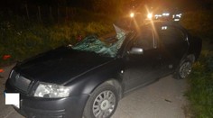 Pri dopravnej nehode zomrel 18-ročný mladík, môže za to alkohol za volantom