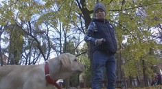 Chlapec (9) spôsobil na internete ošiaľ. Vďaka jednej fotografii sa mu splnil sen