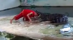Muž vložil krokodílovi hlavu do tlamy. Cvakol zubami a metal s ním hlava-nehlava