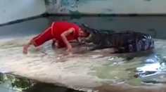 Muž vložil krokodílovi hlavu do tlamy. Cvakol zubami a metal s ním hlava-nehlava