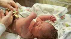 V Barcelone sa narodilo dieťa s príznakmi spôsobenými zikou