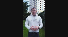 Cibulková, Koleník, Végh. Celebrity sa zapojili do prezidentského súboja