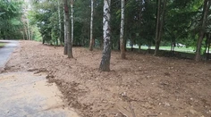 Iniciatíva detí a učiteľov narobila poriadne škody. Neodborne vysadené stromy poškodzujú okolie