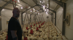 Rukami mu prejde 10-tisíc kurčiat ročne. Farmár Marek ich zákazníkom rozváža osobne