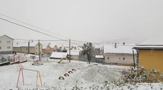 Prvý sneh. Fotografie od vás