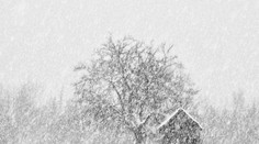 Chlapci sa stratili v snehovej búrke. Vďaka skvelému nápadu ochránili najmladšieho z nich