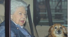 Razantný krok Alžbety II.: Tento muž sa môže hanbiť ako pes!