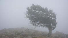 Pripravte sa na silný vietor: Vo viacerých okresoch bude platiť výstraha druhého stupňa