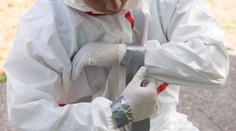 Čech vykradol poštu s tým, že prišiel vyčistiť peniaze po chemickom útoku