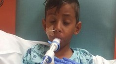 V Egypte sa nakazil ďalší turista. Chlapec (7) bojuje v nemocnici o život