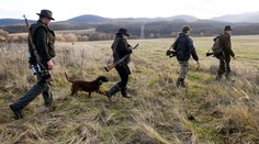 Poľovníci po mimoriadnom výbore: Sme pripravení na odstrel problémových medveďov