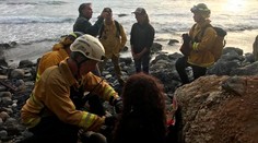 Žena prežila pád z útesu na pobreží Kalifornie, našli ju po týždni