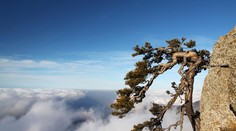 Na severe  fúka silný vietor, v strediskách je už veľa snehu