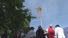 Kedysi ho stavali mládenci pre svoje vyvolené. V mestách a obciach už stoja vyzdobené máje