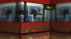 Odmietal respirátor: Agresívny silák v bombere sa prebil cez okno tatranskej električky