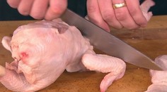 Domáce tortilly od Mirky Luberdovej