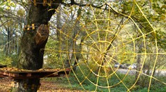 Najbližšie dni to bude lotéria. Tam, kde sa rýchlo rozpustia ranné hmly, bude slnečno aj teplo